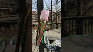 Windsock in the Breeze