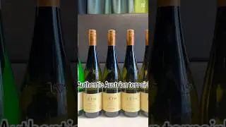 🍇 Weingut Leth &ndash; An Austrian Wine Experience! 🇦🇹 | #VinoVistara #Wine