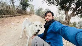 Aaj chle gye dog ko gumane 😍 bahr