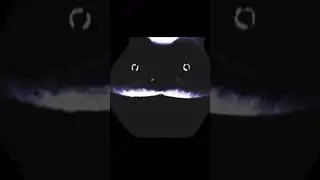 Cat meowing slowed down