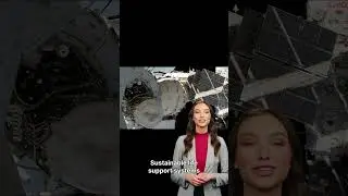 Designing Space Habitats 🏠🛰️ | How Humans Will Live Beyond Earth #scienceshorts #animatedstories
