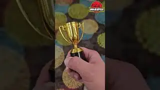 Best In Show One Love Tarantulas