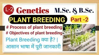 Plant breeding in Hindi, || Plant Breeding: Process/ Hybridization, || M.Sc. Botany, B.Sc