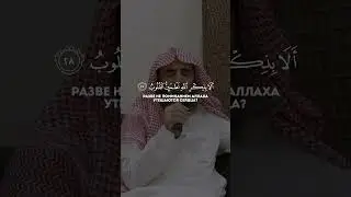 Сура 13 Чтец Мухаммад Аль-Люхайдан аяты 28-29 #reels #рекомендации #коран