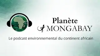 Podcast Planète Mongabay #9 Déforestation : les forêts africaines sous pression