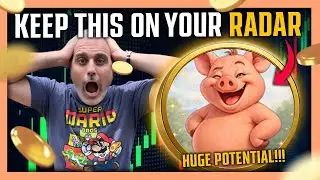 OINK Solana Meme Coin &mdash; Must Buy Now in This Down Market