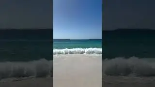 #visitnsw#holiday#australian#beaches#beautifulday#familytime#18march 2025