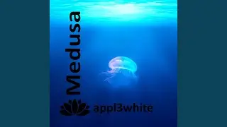 Subacuatica