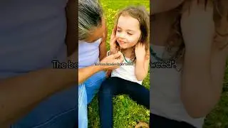 🌻🐝 Cape weed - the 