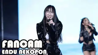 20250524 Long Distance - Endu NEKOPON FANCAM | TGG 6 Years Anniversary @The Street Ratchada