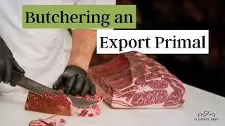 Export Primal Breakdown: Ribeye, Tomahawk & Prime Rib