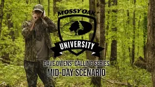 Dave Owens&rsquo; Turkey Calling Tips: MID DAY SCENARIO