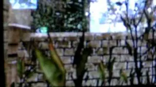 MW2 New Maps online play