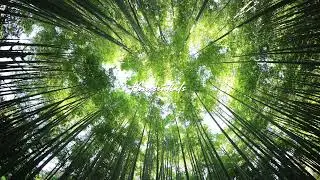 MBreaks - Pure Energy