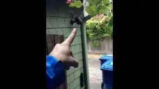 Simple Counterweight Gate Closer