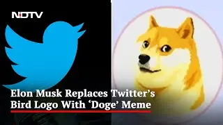 Elon Musk Briefly Changes Blue Bird Logo to 'Doge' Meme on Twitter Website
