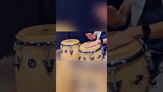 Salsa Conga Grove | Seon Almeida #seonalmeida #conga #latinpercussion #salsa
