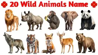 Learn Wild Animals Names 🦁🐼 | Fun English Learning for Kids