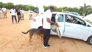VIP security demo 