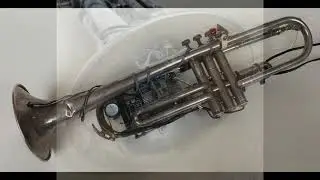 !trumpet (Nicolas Collins 2020)