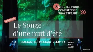 Le Songe d'une nuit d'été  au Théâtre de la Ville - Interview d'Emmanuel Demarcy-Mota