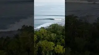 Roxies #mentawai
