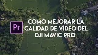 Cómo mejorar la calidad de video del DJI MAVIC PRO - Tutorial NEATVIDEO