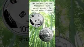 Collecting Chinese Silver Panda Coins