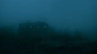 .diedlonely - numb
