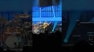Sting - King of Pain (Live in Paris, France 2025) 4K HD 60FPS