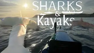 Kayak Fishing Among Sharks &ndash; Scary or Overhyped?