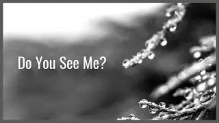 Alex Boamfa & Bjorn Joosten - Do You See Me?