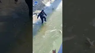Officer breaks through ice to rescue drowning dog