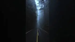 Foggy mornings in Oregon #oregon #nature #pacificnorthwest #pnw #forest #outdoors #hiking #core