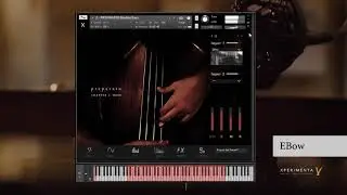Techniques - Preparato Double Bass