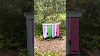 &ldquo;Amuthasurabi Apiary&rdquo; Garden of Aden beekeeper, Biodynamic honey bee farm 