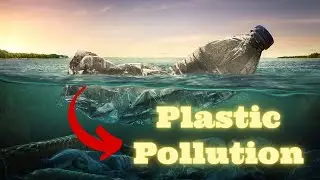 Facts on plastic pollution #shorts