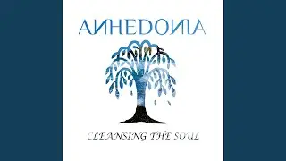 Cleansing The Soul