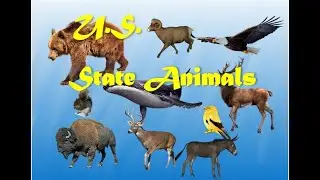 The State Animals of the United States