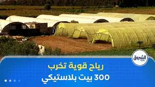 الرياح القوية تخرب أزيد من 300 بيت بلاستيكي في ولاية الشلف