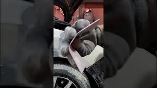 Como fazer vinco na massa poli&eacute;ster #pintura #pinturaautomotiva #shortvideo #shorts #pintandocarro