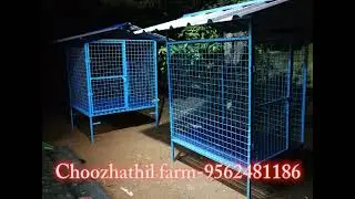 Hitech Hen Cage/Hitech Chicken Cage /Goat Cage /ആട്ടിൻ കൂടു /Hitech Dog Cage /Dog House /ഹൈടെക് cage