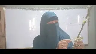 التكاثر في النبات ..للصف الثاني الإعدادي  الجزء الأول