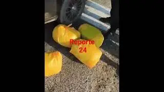 #america #policia policia encuentra droga incautado dentro de sacos de ma&iacute;z