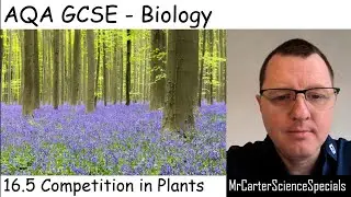 B16.5 - Competition in Plants-  AQA Biology GCSE 9-1