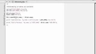 Referencing Variables and Constants.flv