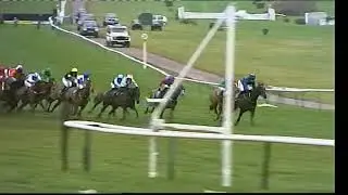 2008 County Hurdle - Cheltenham Festival