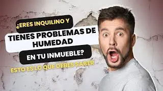 Eres #inquilino y tienes #problemas de #humedad en tu #inmueble  Esto es lo que DebesSaber #arriendo