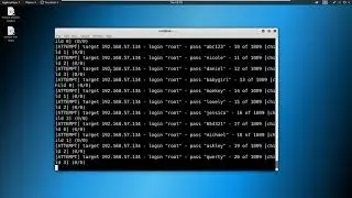 5 Exploitation Basics - Brute Force Attacks