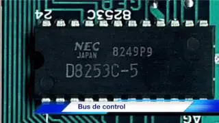 Buses de Datos